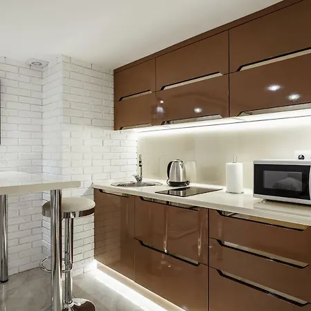 Новый Апартамент В Самом Центре Дерибасовской Apartment